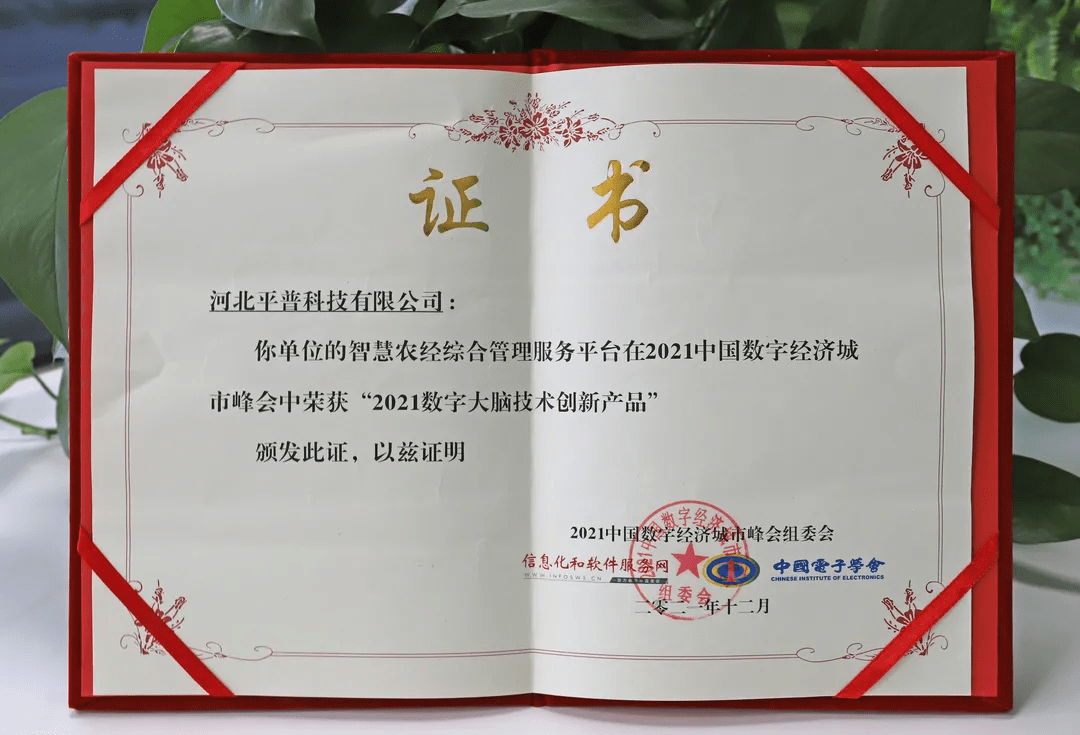 喜报 平普科技荣膺‘2021年数字大脑技术创新产品优秀案例’，以数字技术驱动行业革新